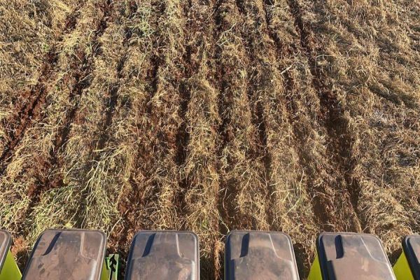 Inverno: Congresso de Agricultura de Baixo Carbono será durante Show Rural