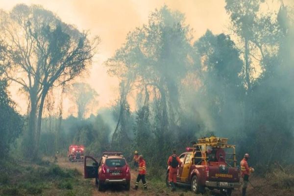 Corpo de Bombeiros do Paraná já atendeu mais de 9,3 mil incêndios florestais em 2024