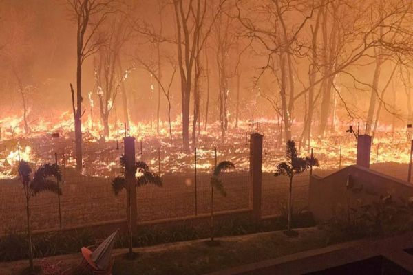 Ribeirão Preto em chamas: Incêndios devastam a cidade e deixam população em pânico