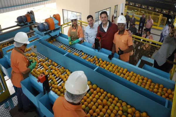 Indústria de suco de laranja investe R$ 20 milhões em nova unidade no Paraná