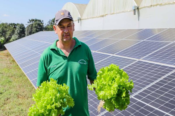 Transformação energética nos hidropônicos: energia solar reduz conta de produtor em 85%