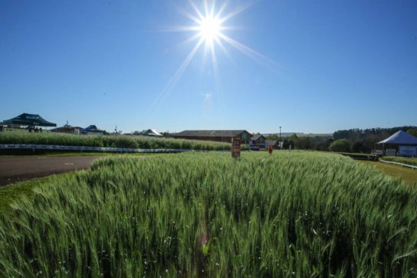 Fundetec apresenta projetos inovadores no Show Rural de Inverno