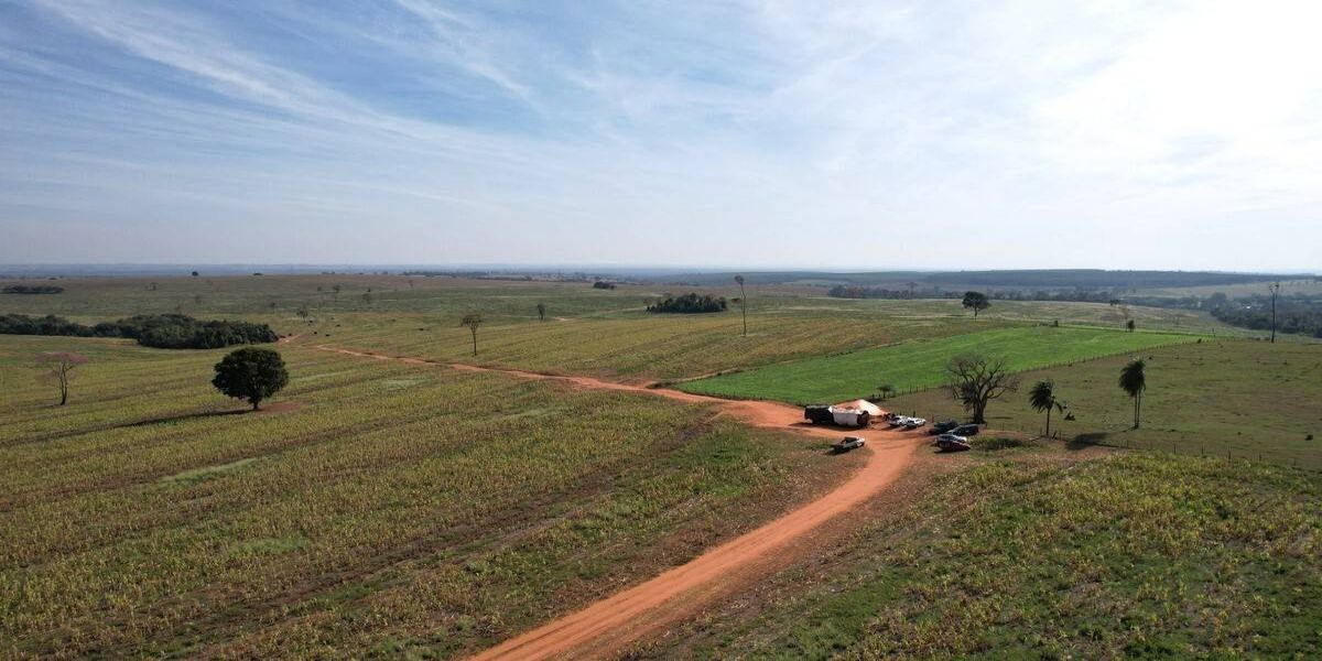 Sistema FAEP alerta para escalada de violência nas invasões de terras no Oeste do Paraná