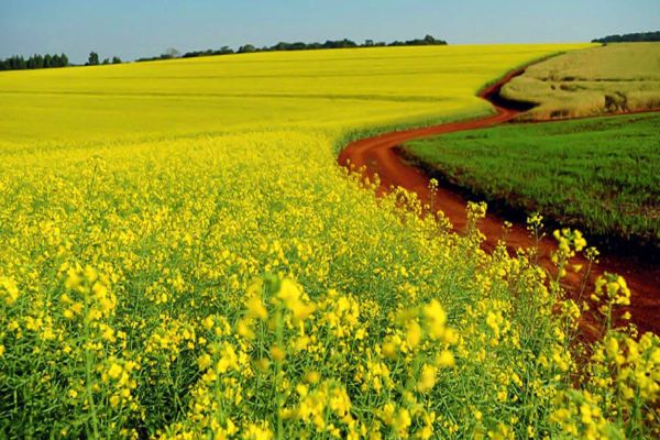 Nova Aurora ganha Rota de Turismo Rural com apoio do Governo do Paraná