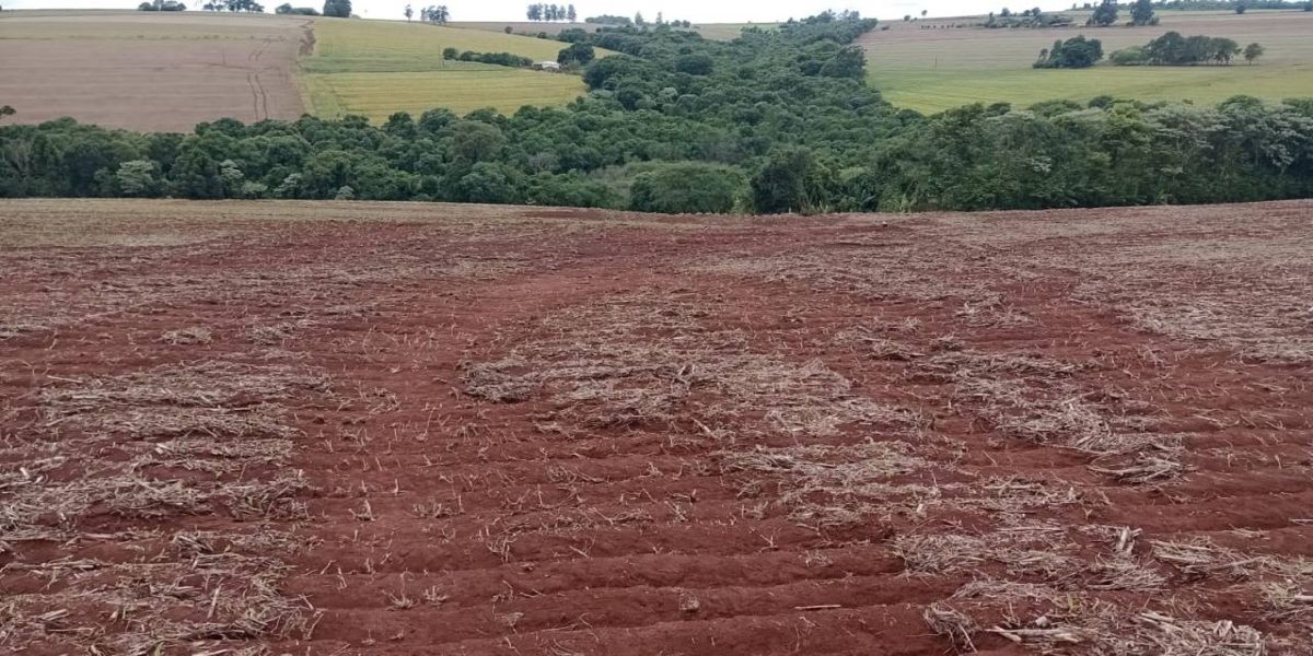 Agricultores de São João do Oeste sofrem com inundações causadas por falta de escoamento em estradas