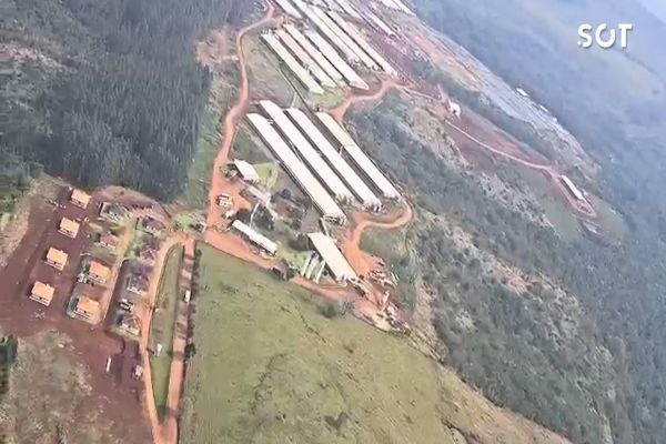 Imagem referente a notícia: Falcão 12 realiza buscas intensas por homem desaparecido em Cascavel