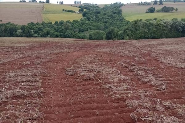 Imagem referente a notícia: Agricultores de São João do Oeste sofrem com inundações causadas por falta de escoamento em estradas