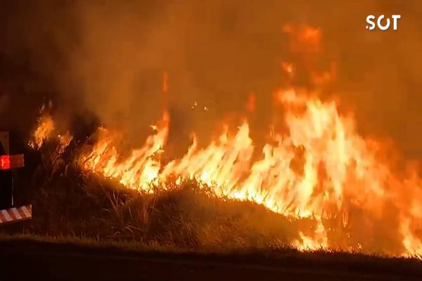 Estado de alerta: Paraná atinge momento mais crítico para casos de queimadas florestais