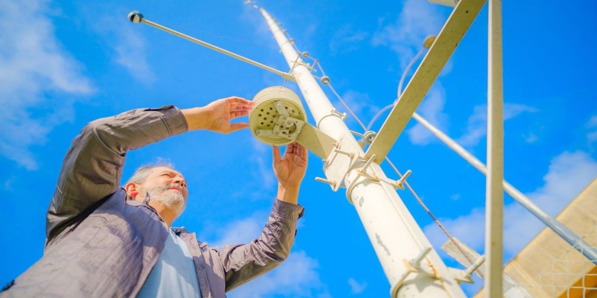Pesquisas apontam como clima e queimadas afetam a biodiversidade no Paraná