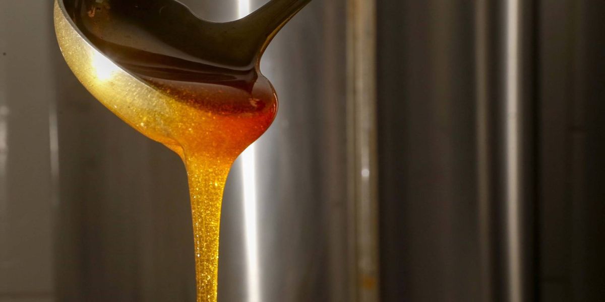 Exportação de mel pelos portos do Paraná cresce 376%