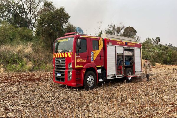Imagem referente a notícia: Incêndio de grandes proporções atinge vegetação na BR-369 e compromete visibilidade