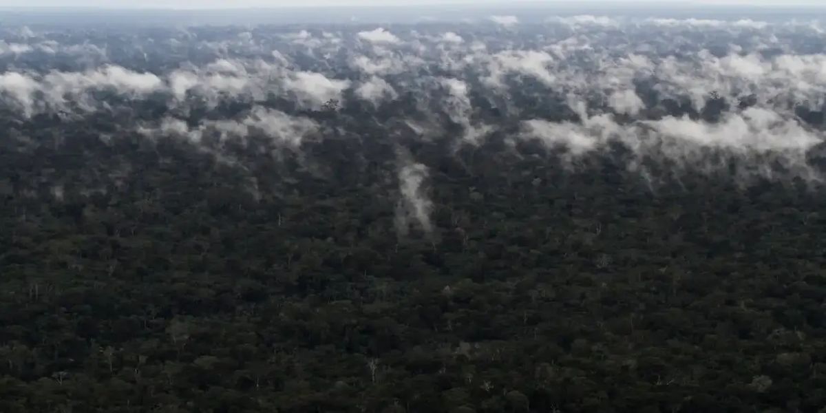 Emissão de gases do efeito estufa por queimadas na Amazônia cresce 60%