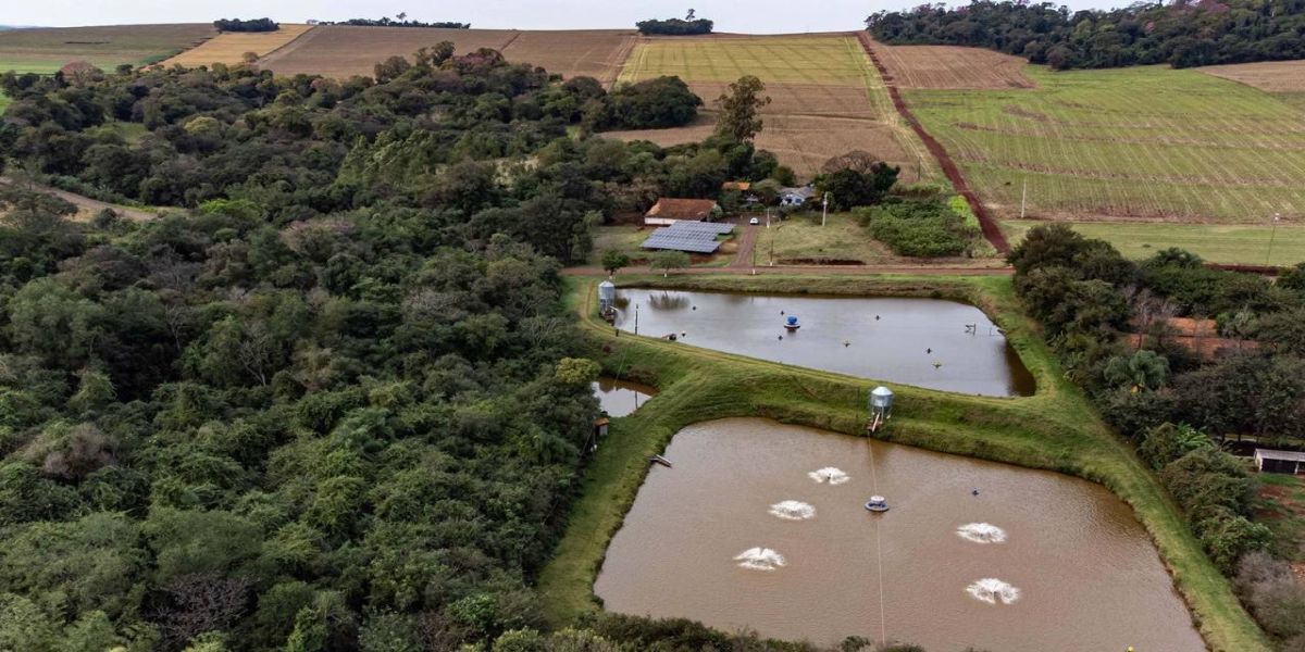 RenovaPR: com energia solar, família de piscicultores reduz custo e aumenta produção