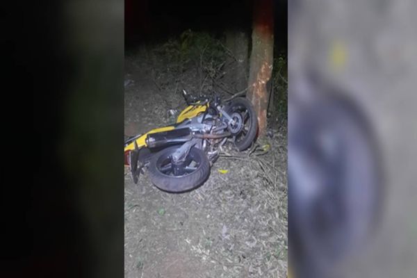 Motociclista morre em colisão com árvore na PR-239
