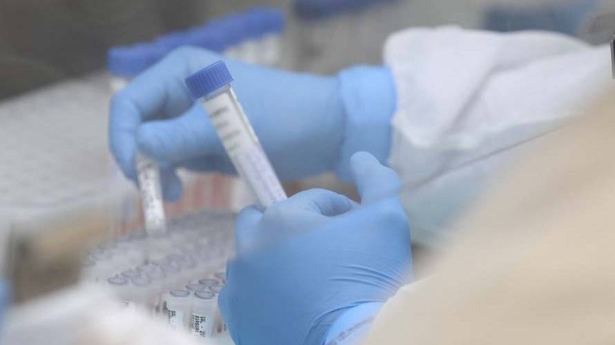 Estado, Cedca e MPPR disponibilizam 2 mil exames gratuitos de DNA para população