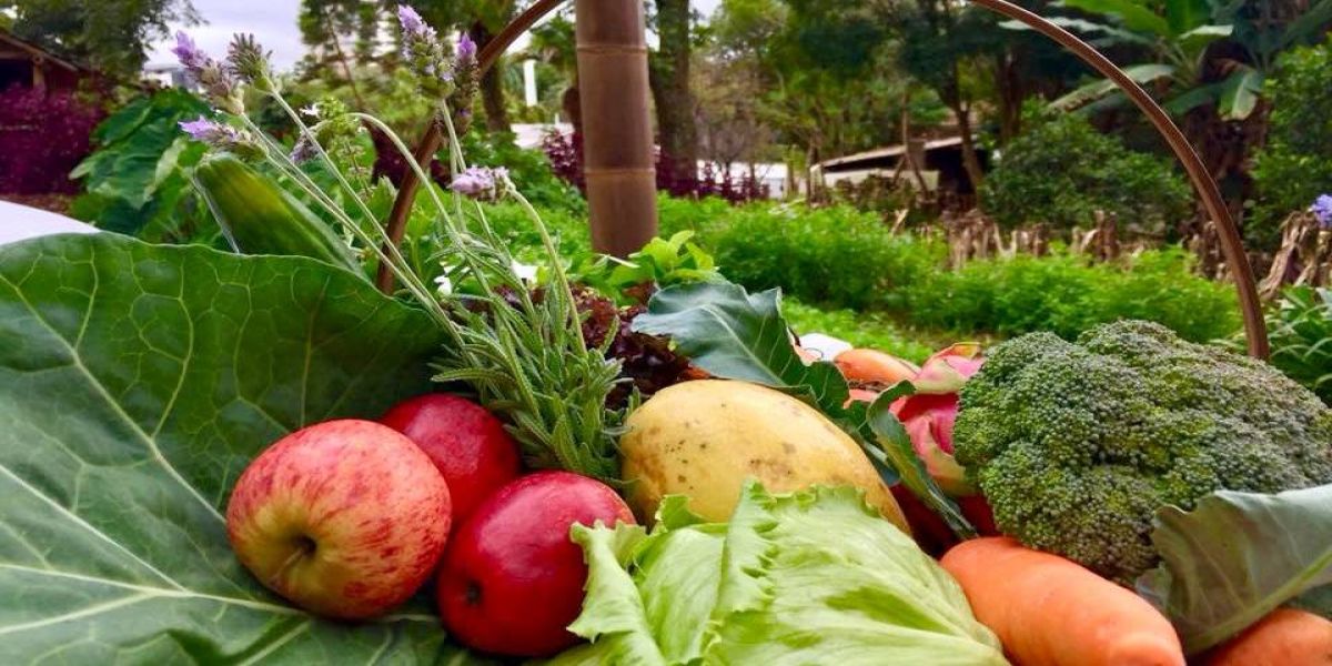 Paraná chega a 319 municípios integrados ao sistema nacional de segurança alimentar