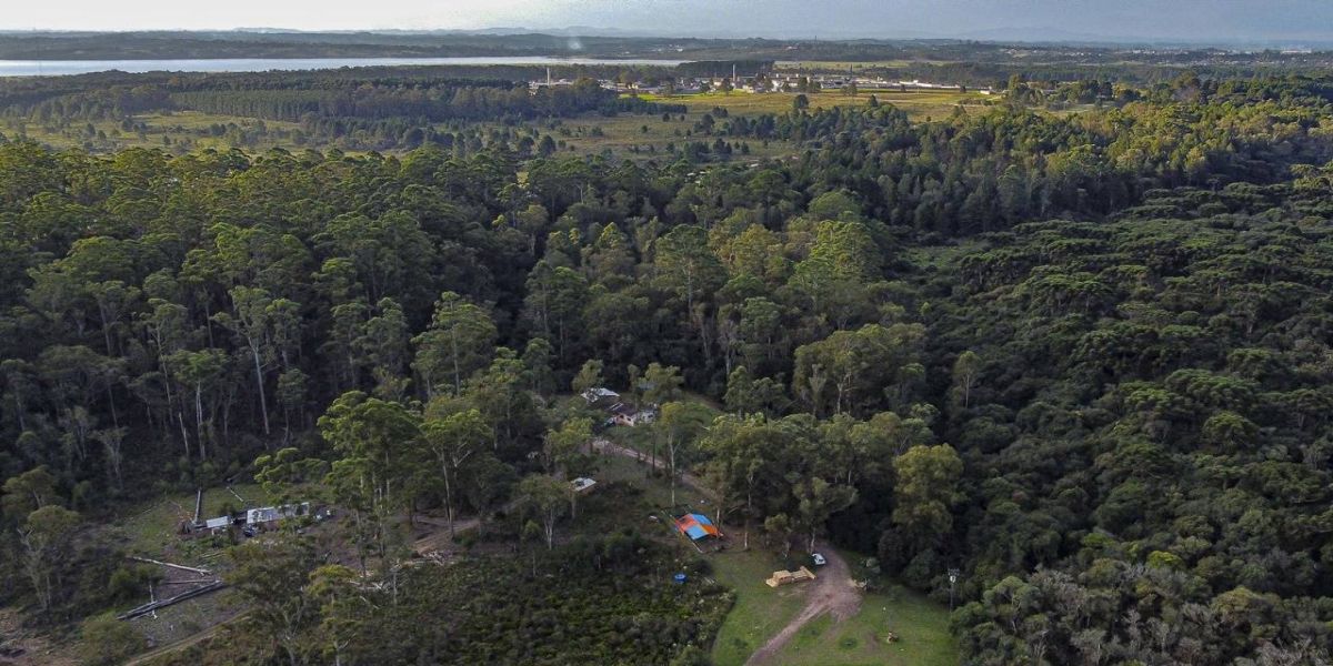 IAT amplia projeto Parques Paraná, que passa a contar com 32 complexos ambientais