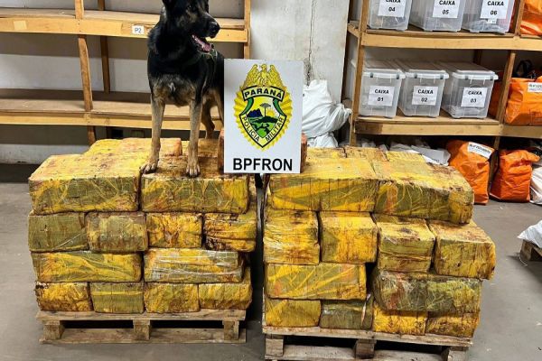 Imagem referente a notícia: Batalhão de Polícia de Fronteira apreende mais de uma tonelada de maconha em Santa Helena