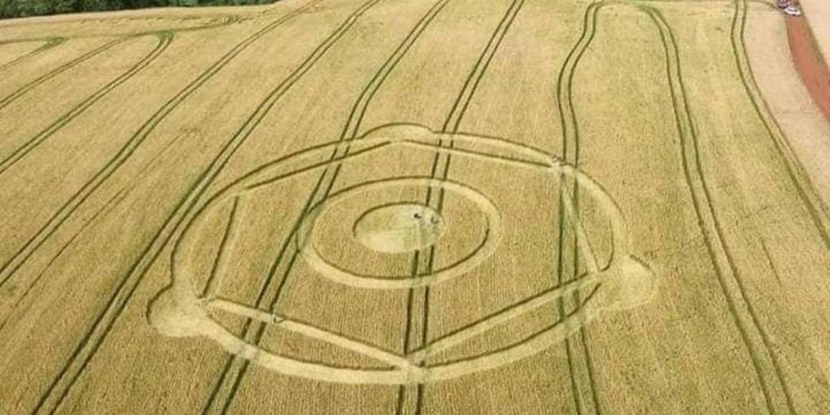 Novos Agroglifos Intrigam Moradores de Ipuaçu