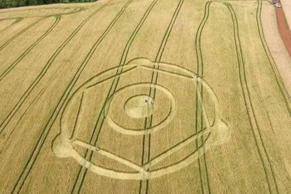 Novos Agroglifos Intrigam Moradores de Ipuaçu