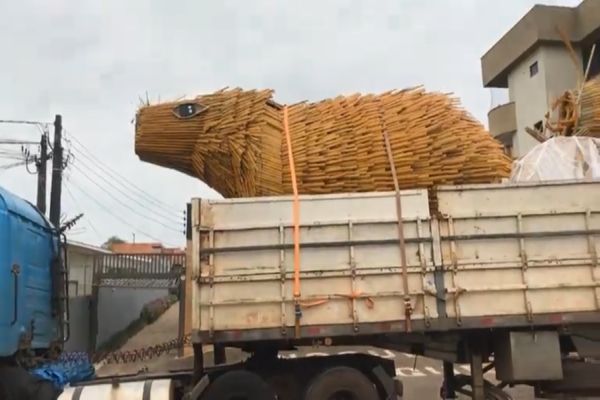 Rua Paraná em Cascavel é interditada após acidente com decoração natalina