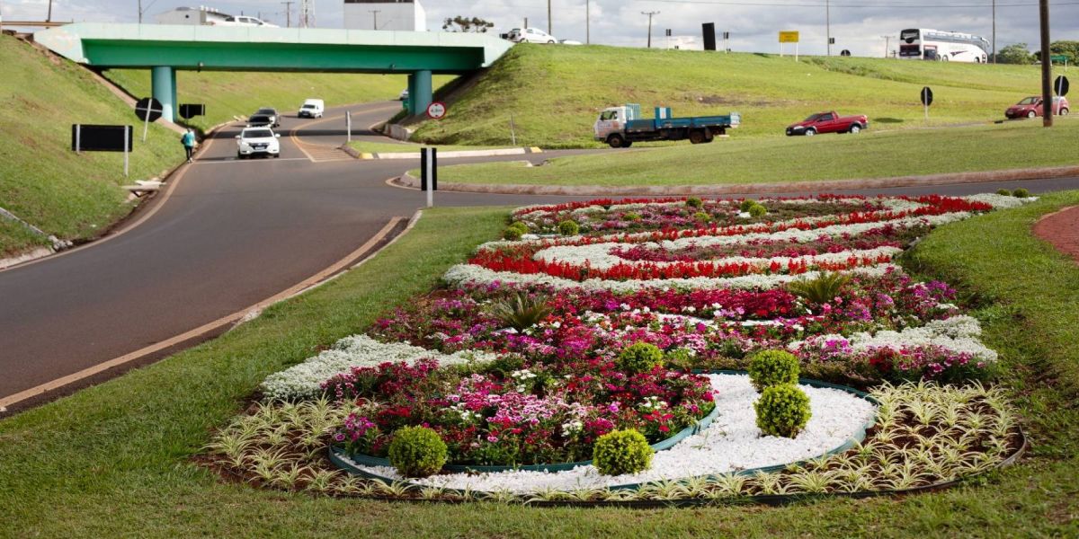 Primavera: Paisagismo em canteiros deixa Cascavel florida e mais bonita
