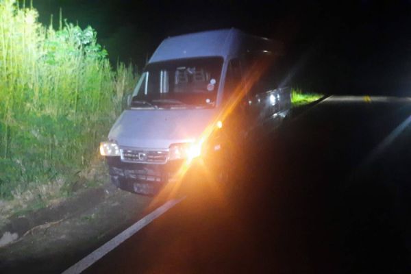 Van atropela bovino na PR-495 em Medianeira