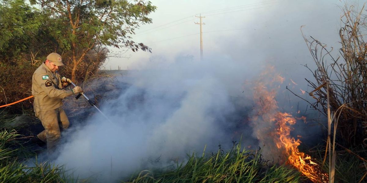 IAT estabelece portaria orientativa sobre incêndios em imóveis rurais do Paraná