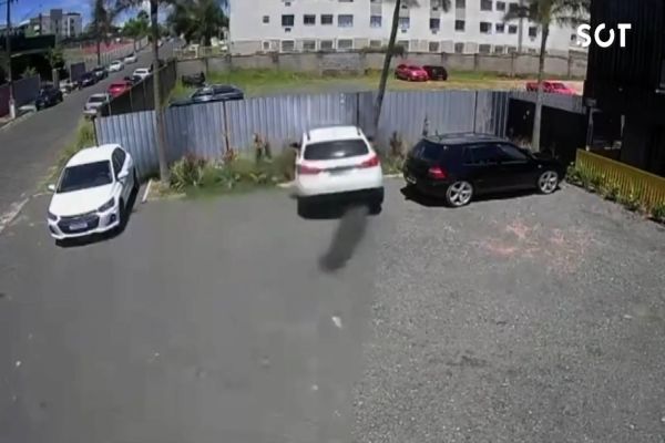 Motorista sofre mal súbito, perde controle de carro e derruba árvore e muro no Paraná