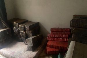 Imagem referente à notícia: Polícia Militar apreende mais de uma tonelada de maconha em residência abandonada em Terra Roxa
