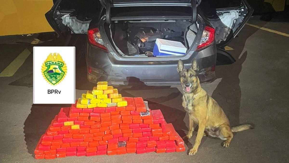 Foto relacionada a notícia: Dupla é presa em flagrante com 80 kg de maconha em Santa Tereza do Oeste