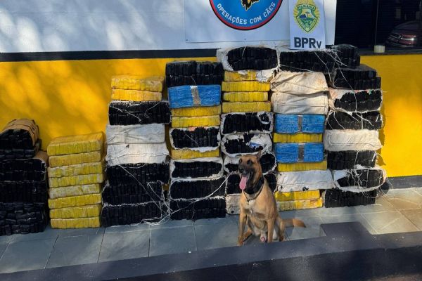 BPRv apreende mais de 800 kg de maconha em veículo furtado na PR-586 em Santa Tereza do Oeste