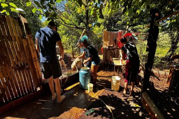 Foto relacionada a notícia: Solidariedade: Estudantes da UNIPAR arrecadam 160 kg de ração e levam carinho a animais resgatados