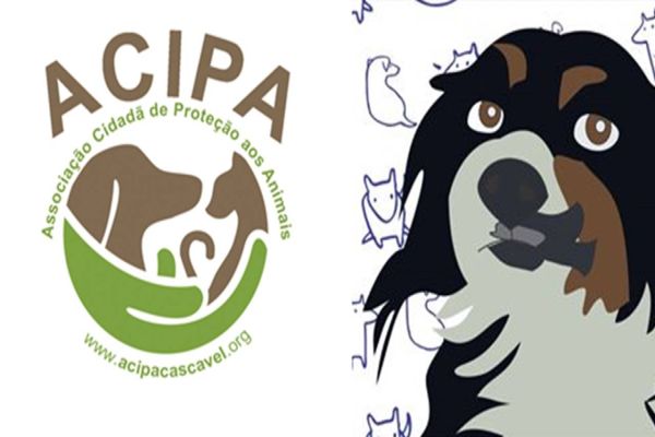 ONG de proteção animal pede ajuda para arcar com dívidas e continuar cuidando de animais abandonados