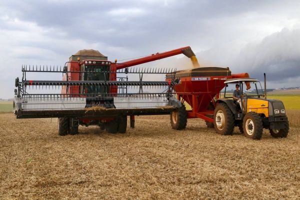 Índice de Atividade Econômica do Paraná cresceu 5,3% em setembro, aponta Banco Central