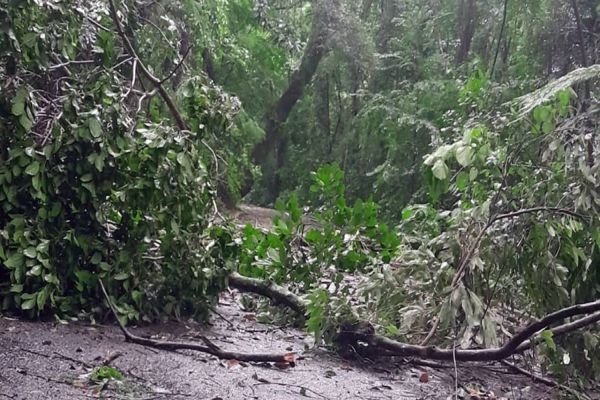 Zoológico de Cascavel fecha as portas neste domingo devido a fortes chuvas