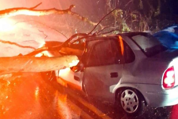 Árvore cai sobre veículo  e deixa dois feridos na PR-323