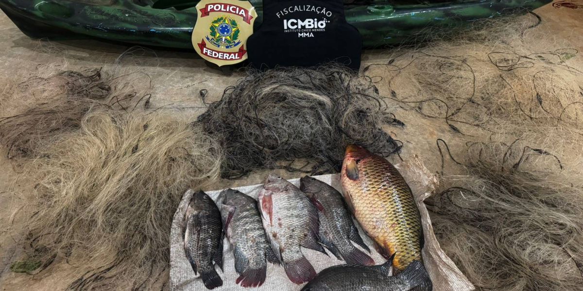 PF e ICMBIO apreendem redes de pesca e 15kg de peixes no Rio Iguaçu, em plena piracema