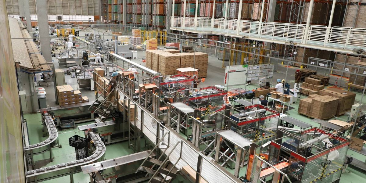 Indústria do Paraná foi a terceira que mais cresceu no País em outubro, aponta IBGE