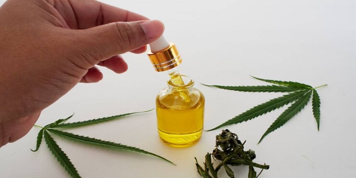 Justiça autoriza cultivo de cannabis para fins medicinais