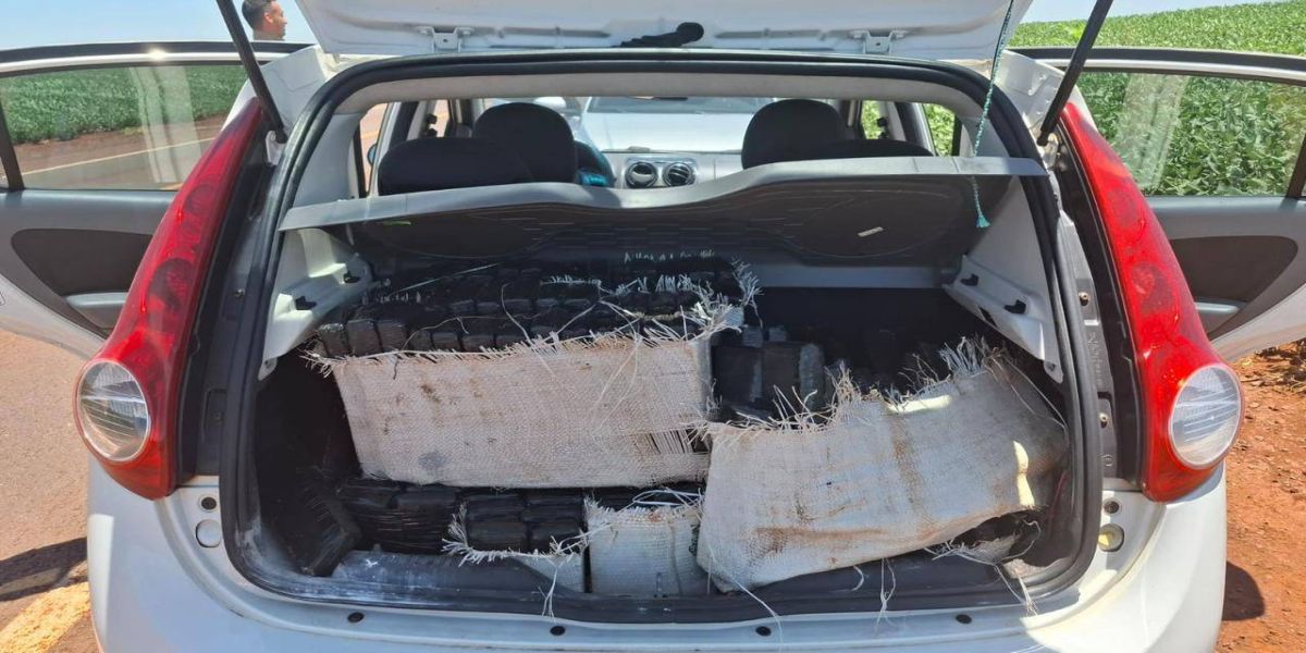 Polícia Militar apreende 250 kg de maconha em Assis Chateaubriand