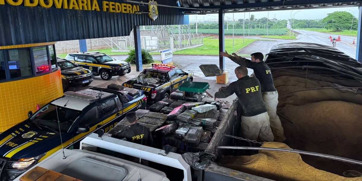 PRF apreende 8 toneladas de maconha e fuzis em carreta na BR-163 no oeste do Paraná