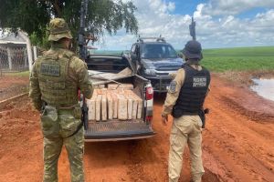 Imagem referente à notícia: Operação Protetor: Polícia apreende quase meia tonelada de maconha em perseguição frenética