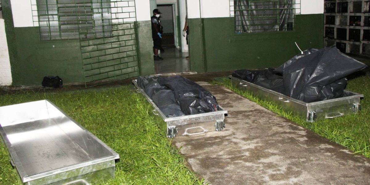 Horror em Matinhos: Ossadas humanas e animais congelados são encontrados em cemitério