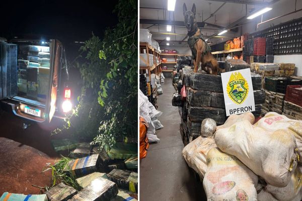 BPFRON realiza mega apreensão de maconha em Santa Helena e causa prejuízo milionário ao crime