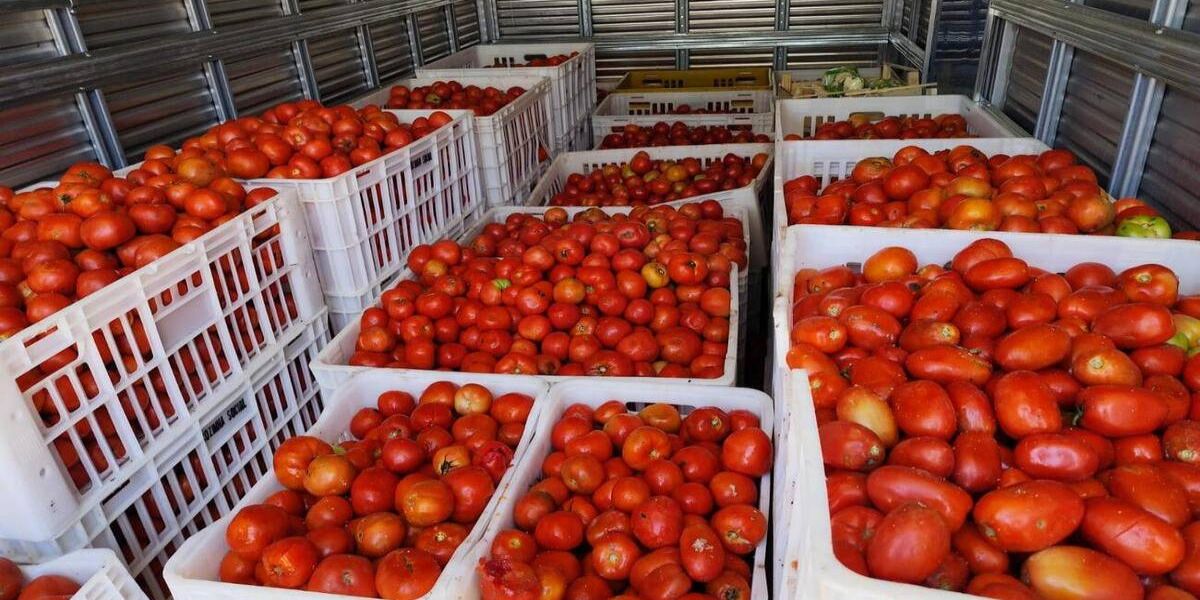 Banco de Alimentos Toledo recebe doação de 3 toneladas do Ceasa de Cascavel