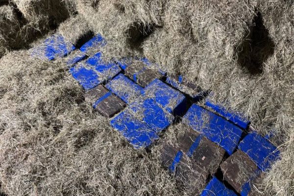 Receita Federal apreende mais de uma tonelada de maconha em caminhão na BR-277