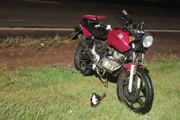 Carro foge após colisão com motociclista na PR-495 entre Entre Rios do Oeste e Pato Bragado