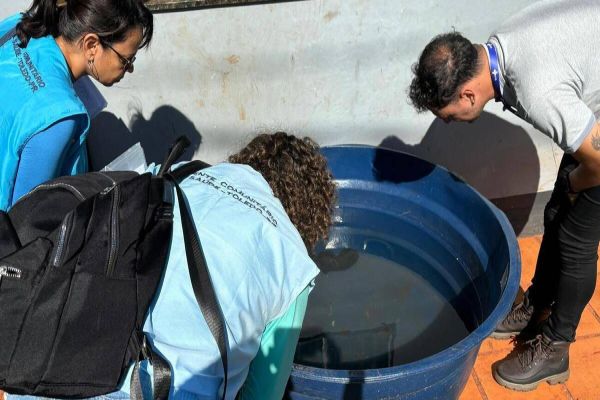 Secretaria da Saúde inicia “Arrastão da Dengue” em Toledo