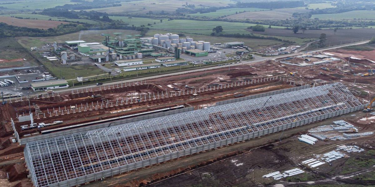 Paraná tem o maior crescimento da atividade econômica entre estados do Sul e do Sudeste